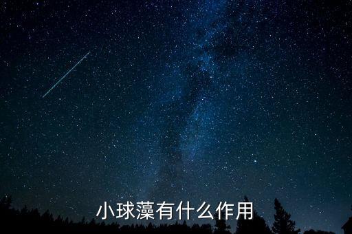 小球藻有什么作用