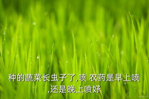 農藥為什么要傍晚打,傍晚打農藥效果好嗎