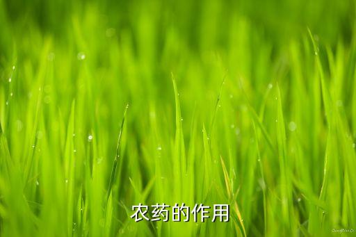 農藥專業有什么用,農藥學屬于什么