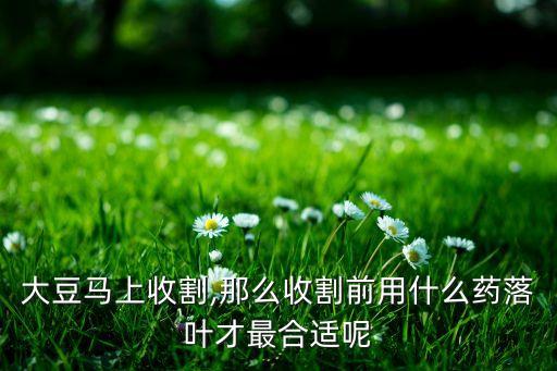 大豆馬上收割,那么收割前用什么藥落葉才最合適呢