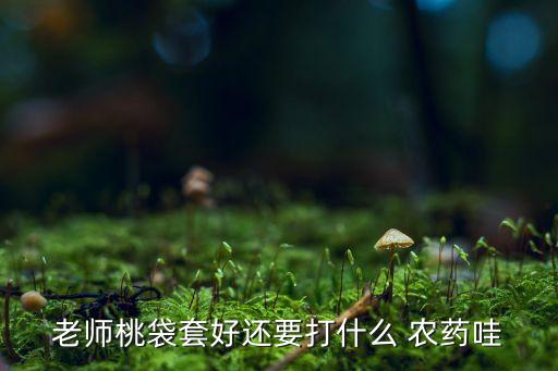 老師桃袋套好還要打什么 農(nóng)藥哇