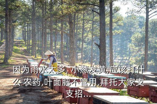 小蔥對(duì)什么農(nóng)藥敏感,小蔥一般打什么農(nóng)藥