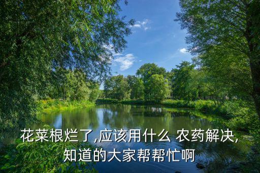 什么農藥可治爛根,爛根用什么農藥最好