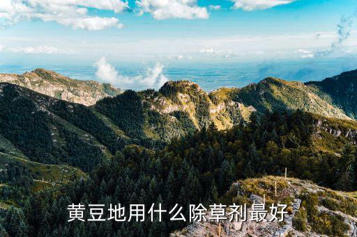 黃豆地用什么除草劑最好
