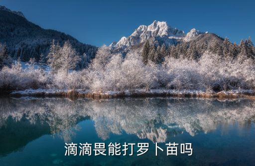  滴滴畏能打羅卜苗嗎
