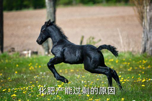  化肥產能過剩的原因