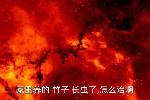 什么農(nóng)藥滅竹子長(zhǎng)蟲好,蔬菜長(zhǎng)蟲用什么農(nóng)藥