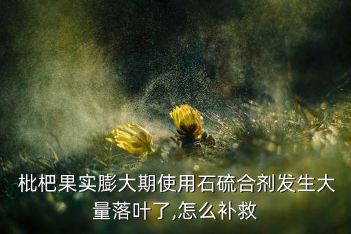 枇杷果幼果時(shí)噴什么農(nóng)藥,枇杷幼果期的施肥技術(shù)