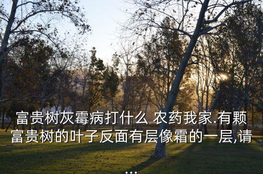 富貴樹灰霉病打什么 農(nóng)藥我家.有顆富貴樹的葉子反面有層像霜的一層,請...
