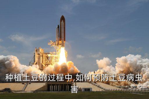 馬鈴薯應噴灑什么農藥,桃樹噴灑什么農藥