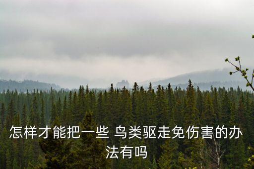 怎樣才能把一些 鳥類驅走免傷害的辦法有嗎