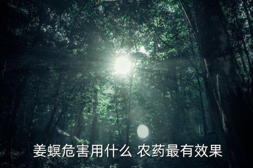  姜螟危害用什么 農藥最有效果