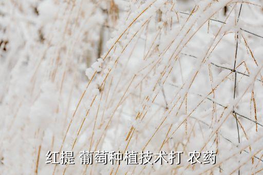 給葡萄打農(nóng)藥什么意思,葡萄用什么農(nóng)藥最多