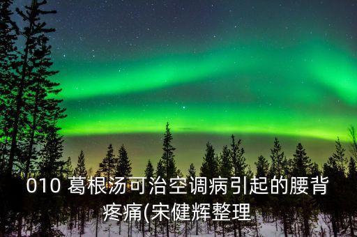 010 葛根湯可治空調病引起的腰背疼痛(宋健輝整理