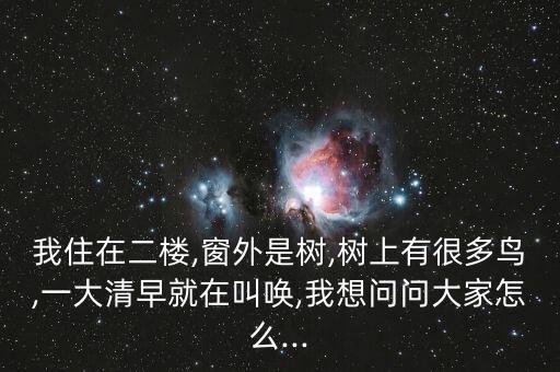 我住在二樓,窗外是樹,樹上有很多鳥,一大清早就在叫喚,我想問問大家怎么...