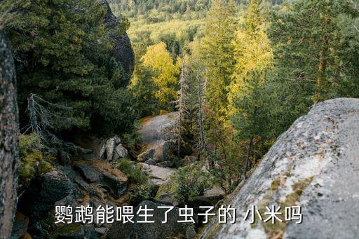農藥為什么怕小米蟲吃,米蟲為什么怕陽光