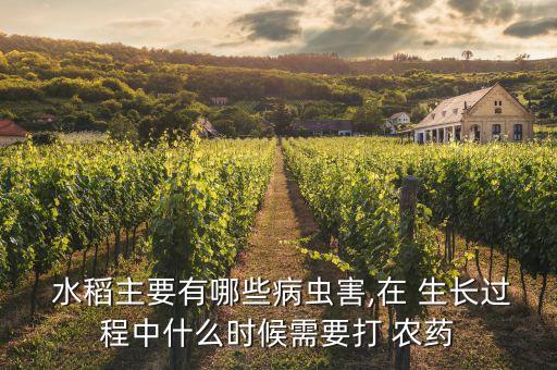 查找 什么農藥水稻生長,水稻最怕什么農藥不能生長