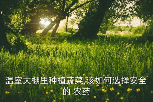 種菜需要放什么農藥好用,種菜前打什么農藥沒草