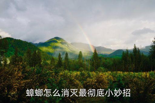 用什么農藥除蟑螂徹底,什么農藥對蟑螂最有效