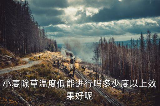 小麥除草溫度低能進行嗎多少度以上效果好呢