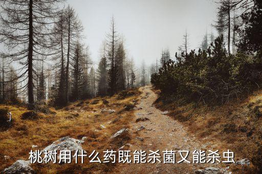 桃樹園里打什么農(nóng)藥滅草,桃樹害蟲用什么農(nóng)藥