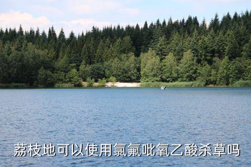 荔枝專治什么農藥,荔枝用什么農藥殺稍