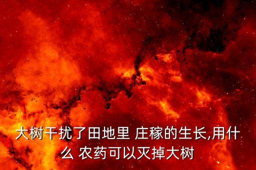 大樹干擾了田地里 莊稼的生長,用什么 農藥可以滅掉大樹