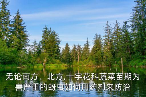 青菜芽蟲用什么農藥殺,青菜打什么農藥效果好