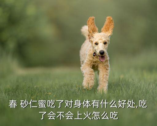什么農藥促春砂仁掛果