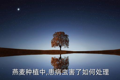 什么農(nóng)藥能治燕麥,南非燕麥治什么功效