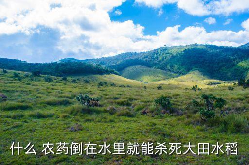 蔬菜打什么農藥殺蟲,稻禾用什么農藥殺蟲好