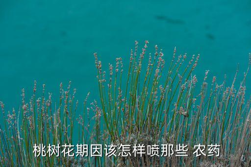 桃樹開花時候能打什么農藥