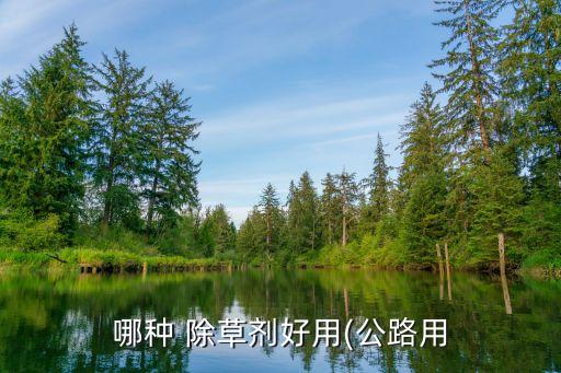 什么農藥除草效果好,冬天用什么農藥除草