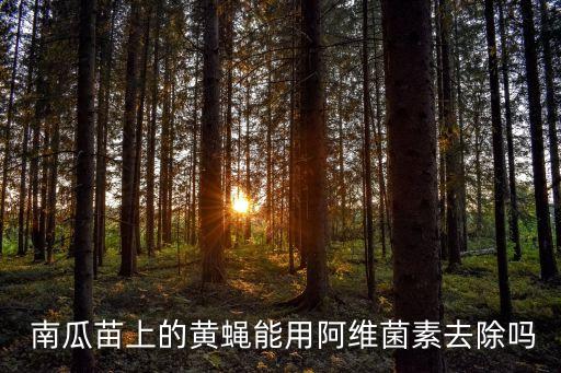 種南瓜打什么農藥,南瓜被蜂咬用什么農藥
