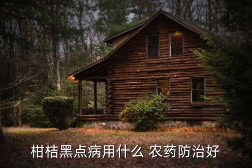 柑桔黑點病用什么 農藥防治好