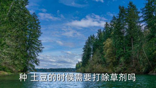 土豆苗期用什么農藥好些,西紅柿苗期用什么農藥