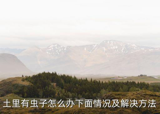 土農藥為什么生蟲,為什么現在的農藥打不死蟲