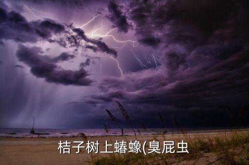 什么農藥可以消滅椿象,椿象用什么農藥