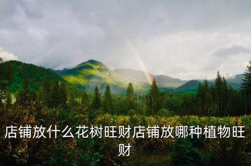 店鋪放什么花樹旺財店鋪放哪種植物旺財