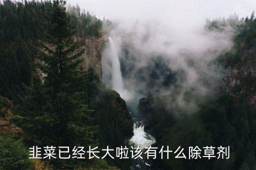  韭菜已經(jīng)長大啦該有什么除草劑