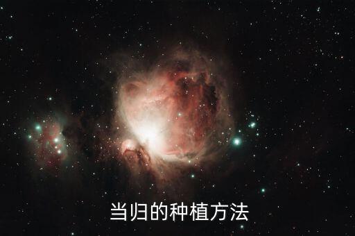 當歸中期打什么農(nóng)藥,當歸打農(nóng)藥嗎