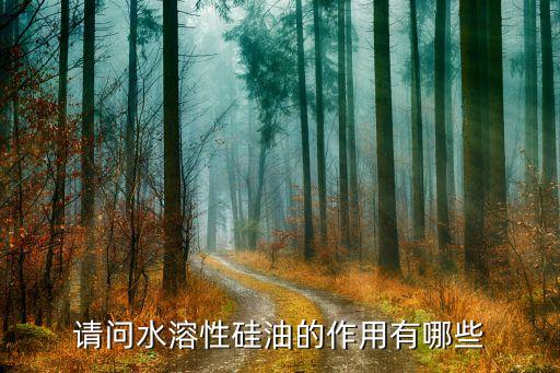 請問水溶性硅油的作用有哪些