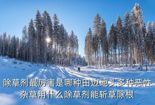 農藥能殺死什么草毒蟲,蝸牛用什么農藥可以殺死