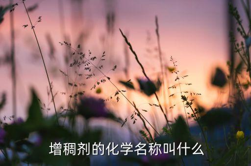  增稠劑的化學名稱叫什么