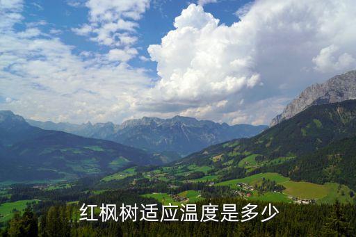  紅楓樹適應溫度是多少