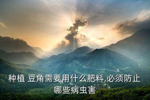 種植 豆角需要用什么肥料,必須防止哪些病蟲害