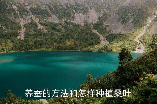 什么葉子喂蠶最好用農藥,什么紅薯葉子最好吃