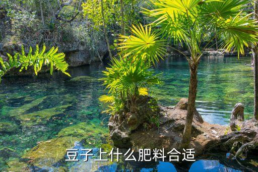 種豆子前打什么農藥,打豆子的工具叫什么
