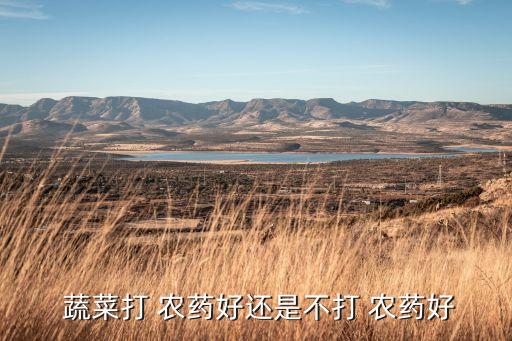 為什么蔬菜要噴農(nóng)藥呢,談的好好的為什么要噴農(nóng)藥