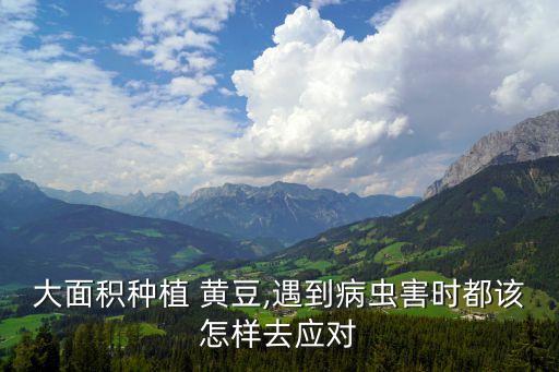 什么農藥治蚜蟲效果好,黃豆上蚜蟲用什么農藥好
